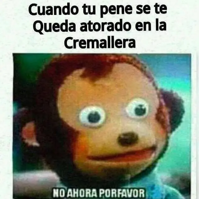 humor