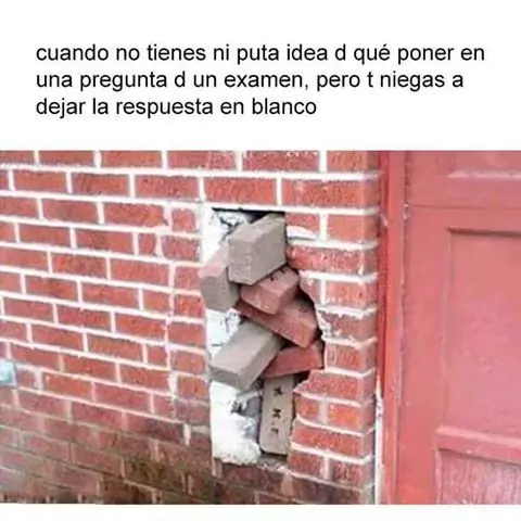 fotos