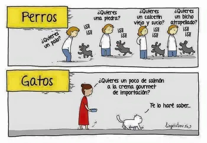 Mirate estas imagenes graciosas papu