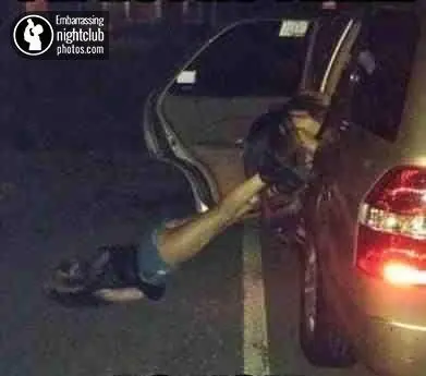 taringero