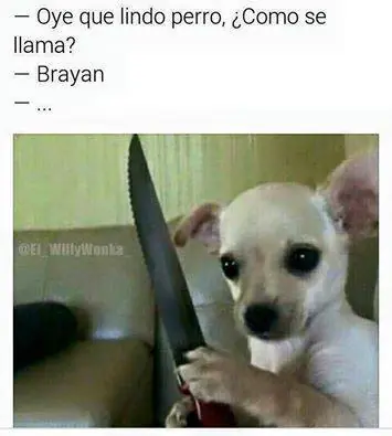 imagenes