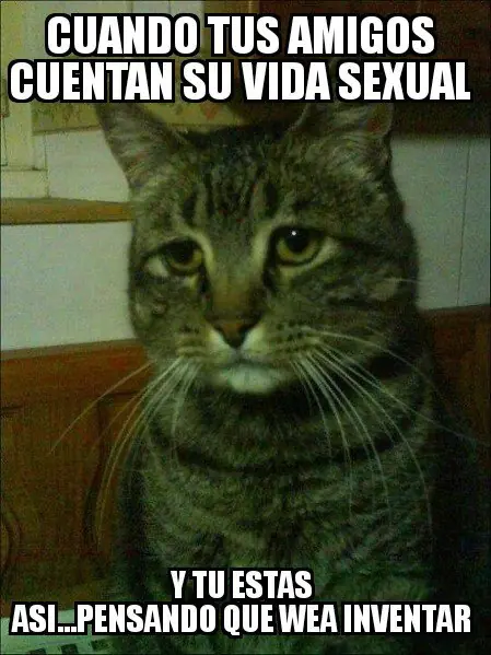 fotos