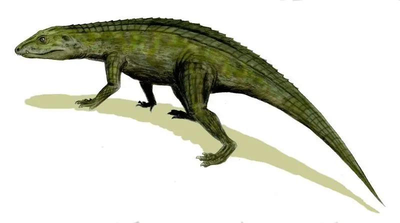 cocodrilos