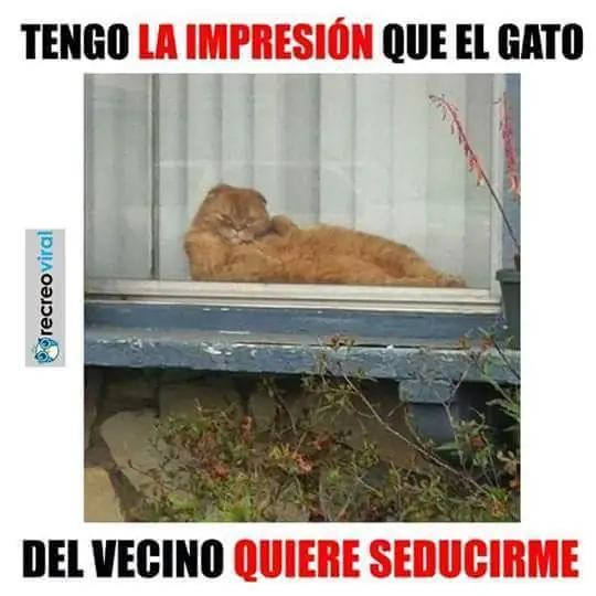 humor