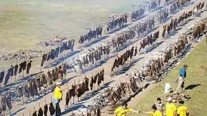 historia argentina historia argentina