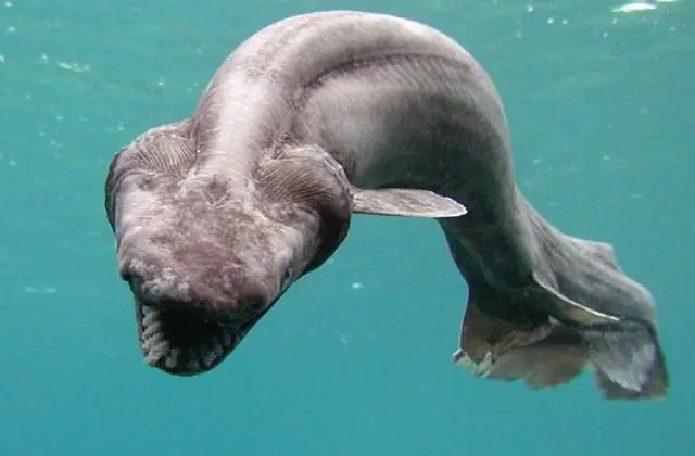 misterios del oceano