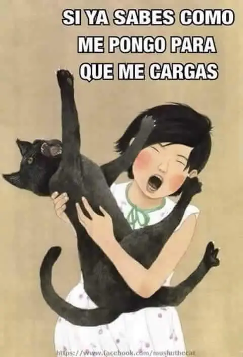humor