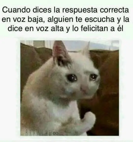 friki