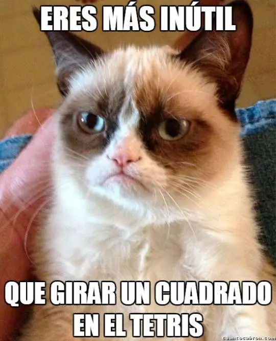 humor de viernes