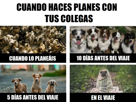 humor de viernes