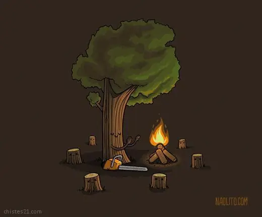 imagenes divertidas