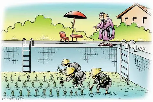 humor de viernes