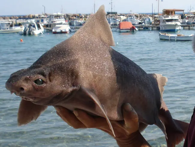 misterios del oceano
