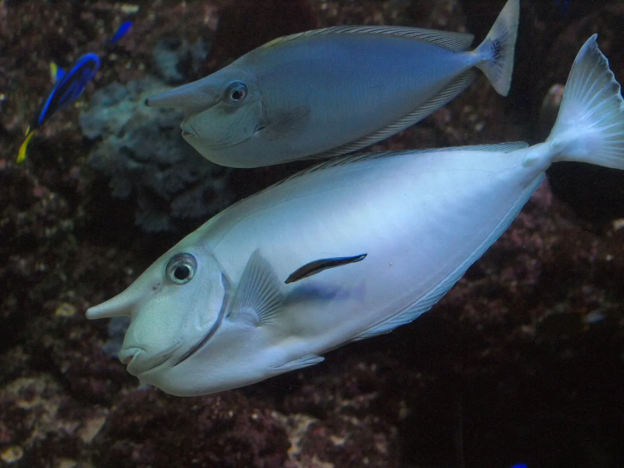misterios del oceano