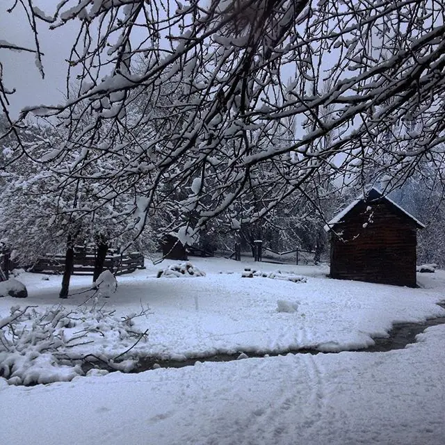 nieve