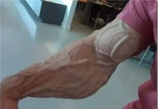 recopilacion