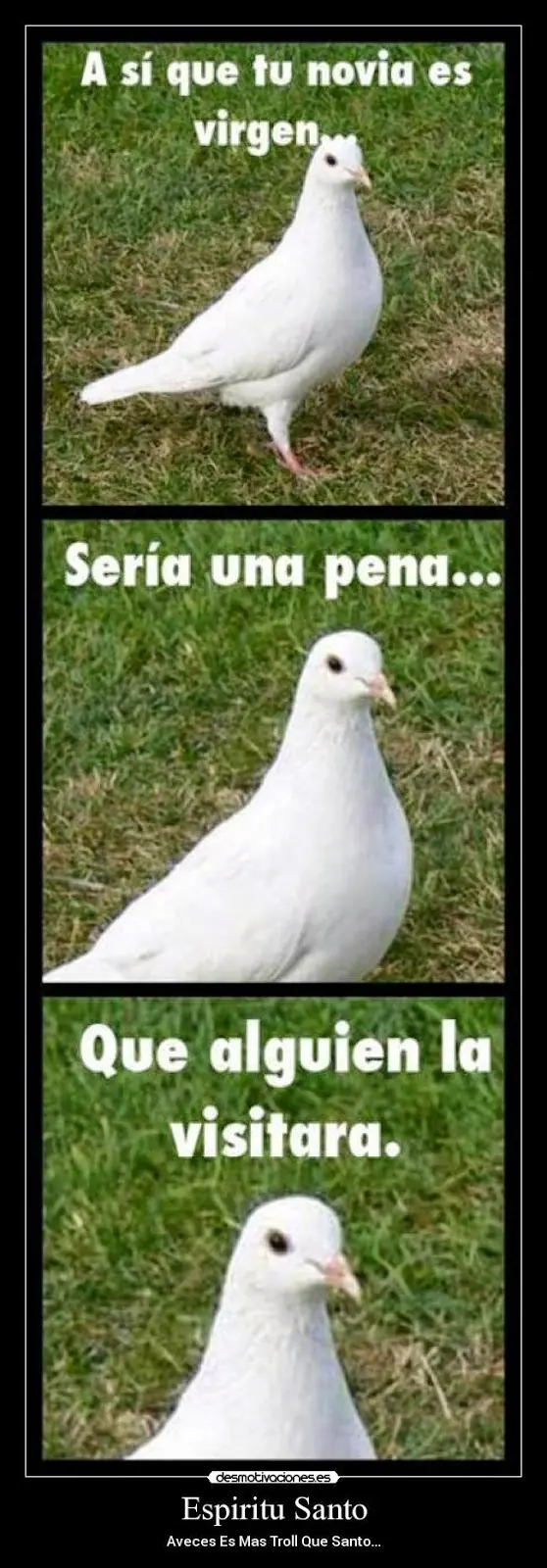 imagenes