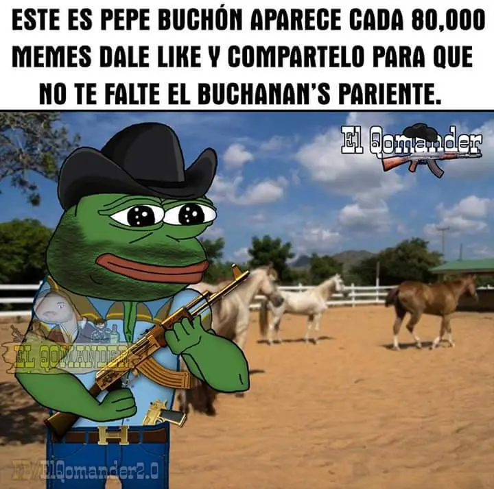 imagenes