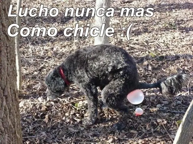 recopilación III