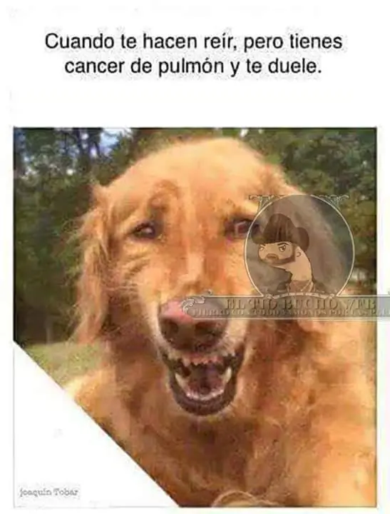 humor