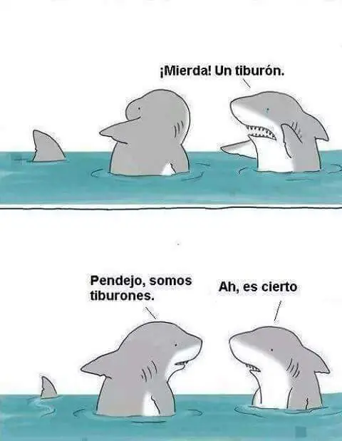 imagenes
