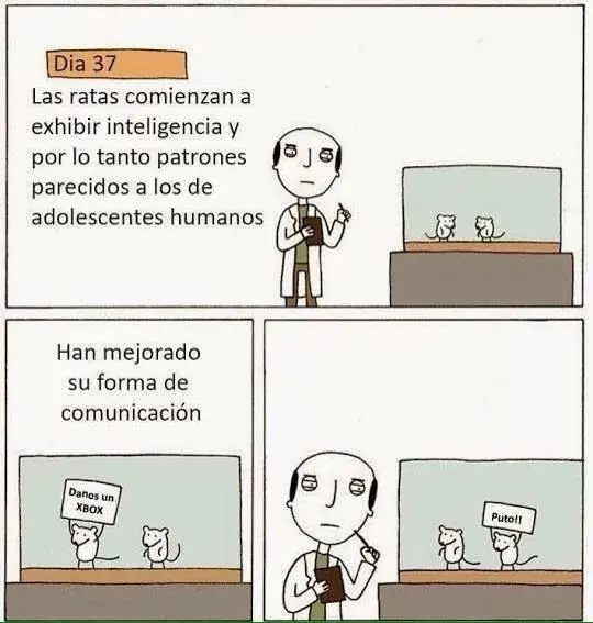 imagenes