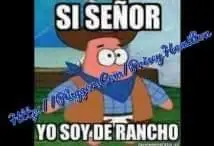 recopilacion