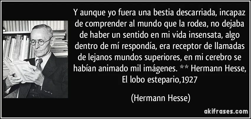 lobo estepario