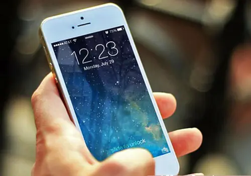 15 Datos curiosos que no conocías y te harán más sabio