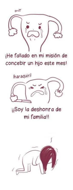 3) Humor: imágenes graciosas para disfrutar un rato.