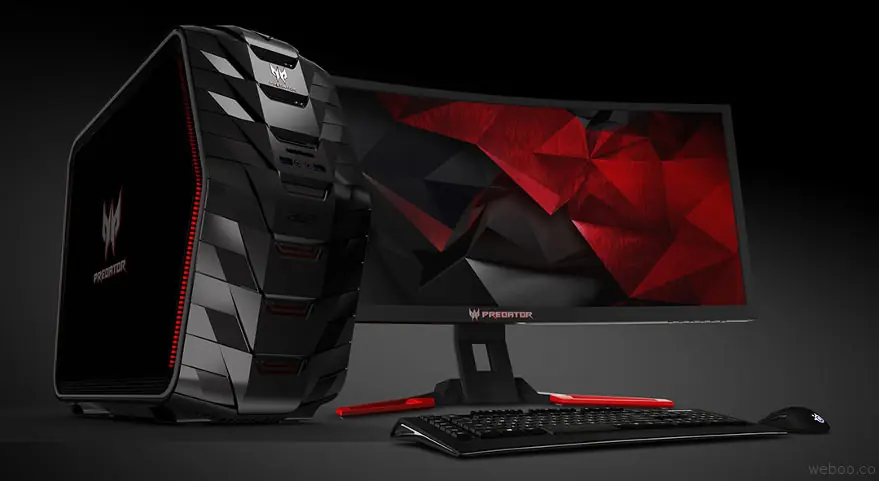 acer acer
