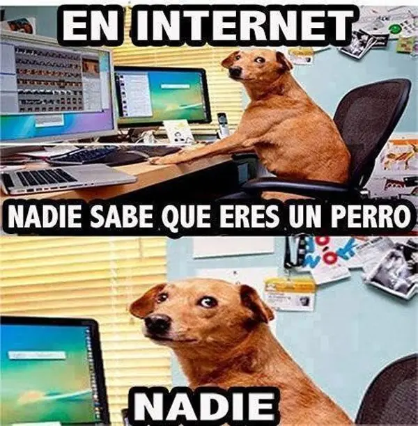 fotos