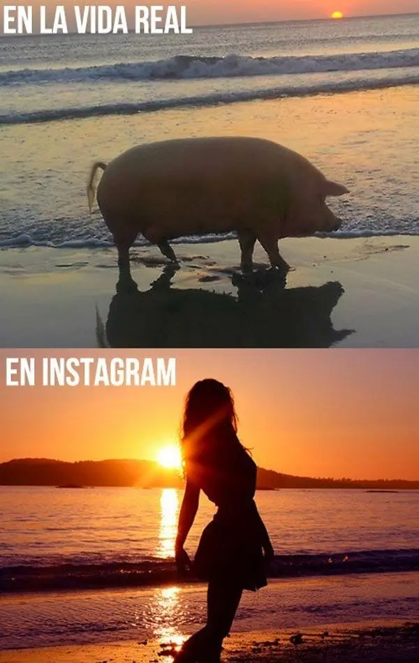 img graciosas