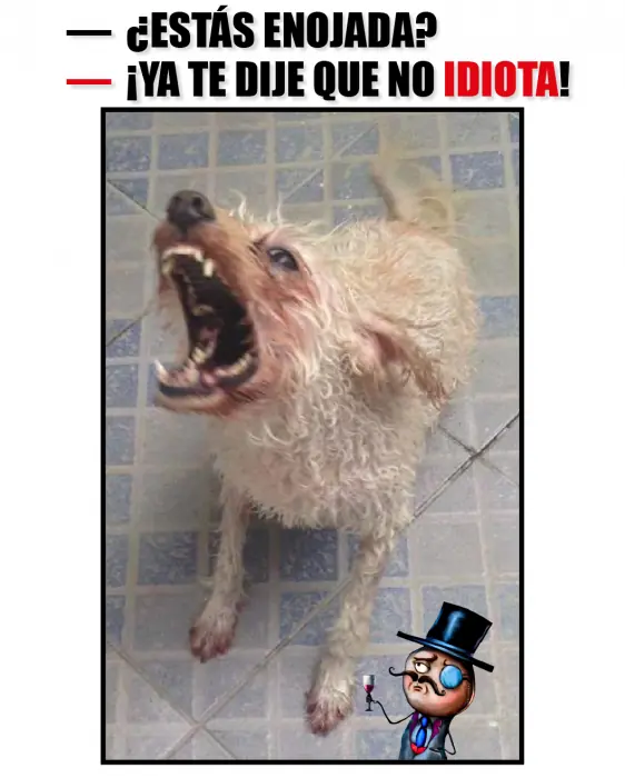 expresiones expresiones