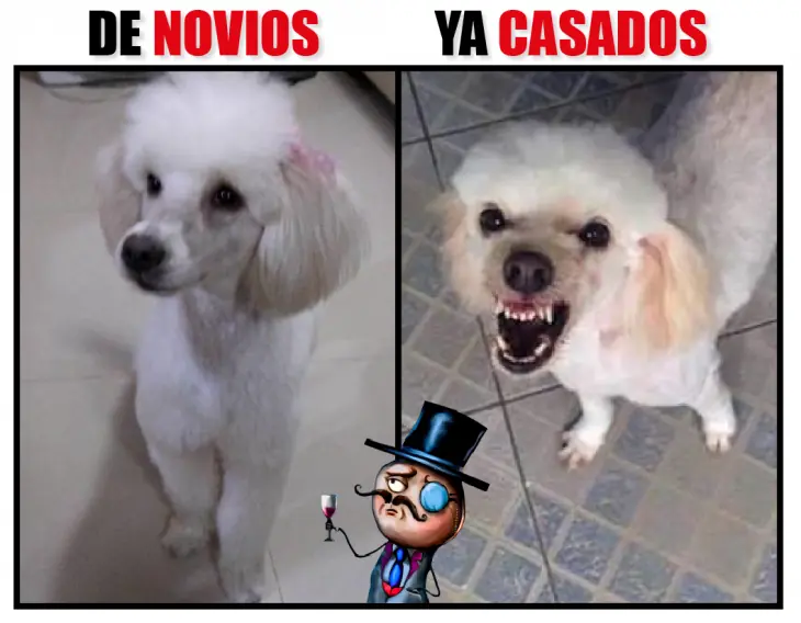 Pone Pone