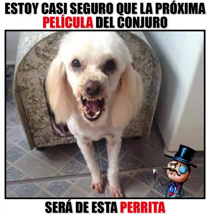 Memes Memes