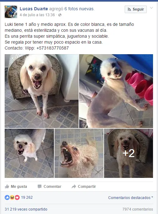 Pone Pone