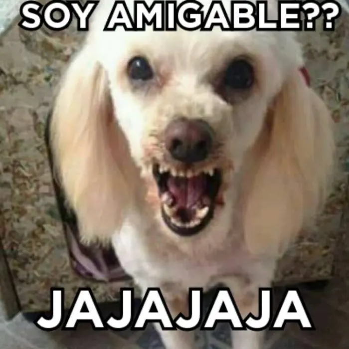 expresiones expresiones