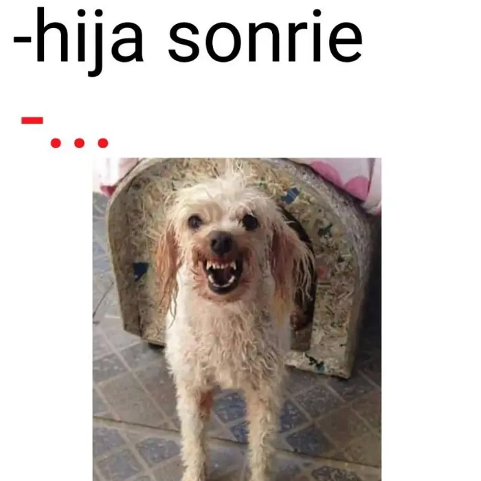 en adopcion en adopcion