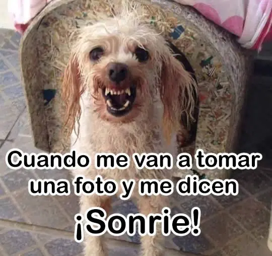poco poco