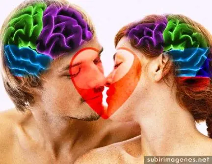 Hallan lugar exacto donde se origina el amor...