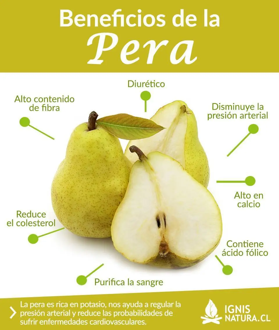 nutricion