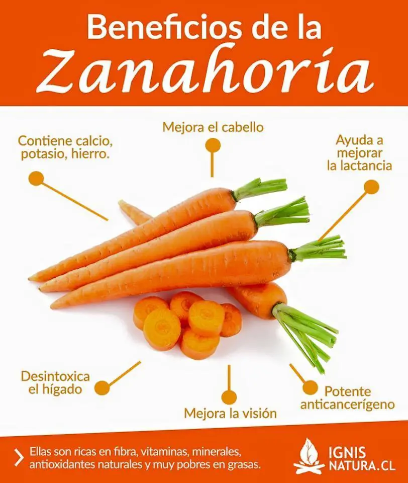 Que tu medicina sea tu comida y tu comida sea tu medicina.