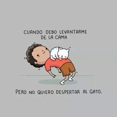imagenes