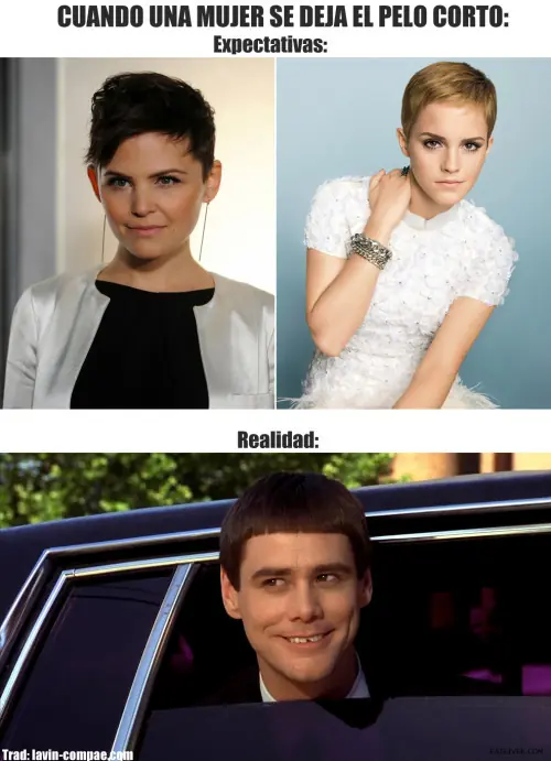 Humor de miércoles, raro, como taringuero de novio