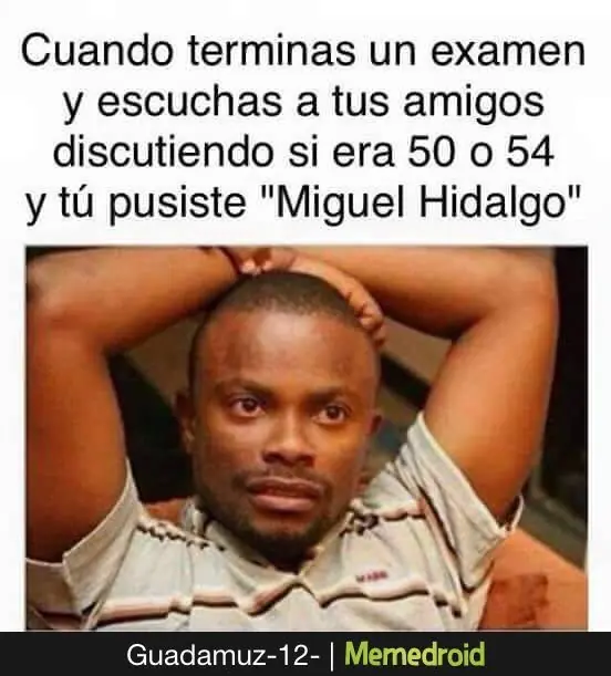 gatos