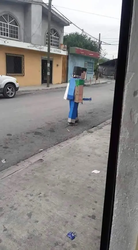 fotos