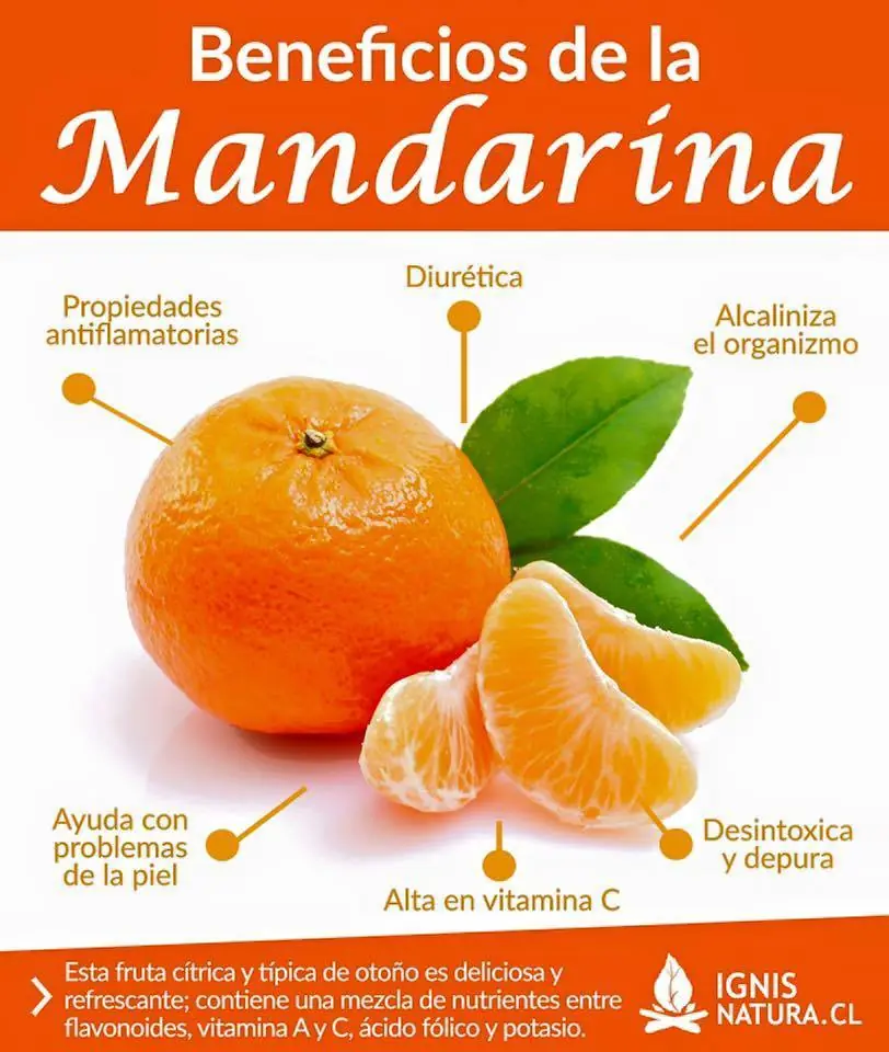 sano y limpio