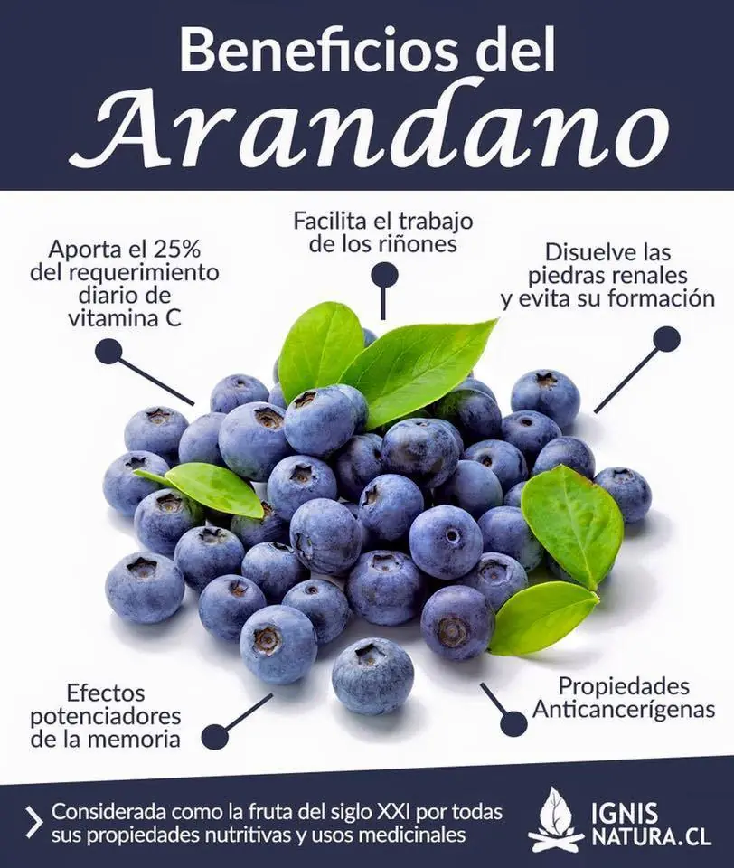 dato curioso