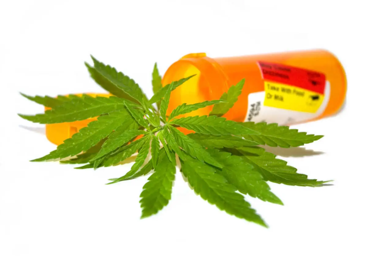 marihuana medicinal argentina